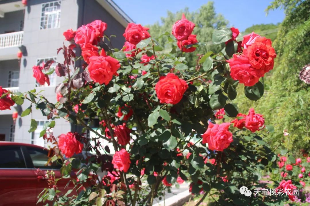 166a21c2ac00dd49b3f4df00cbc99eec.jpg
